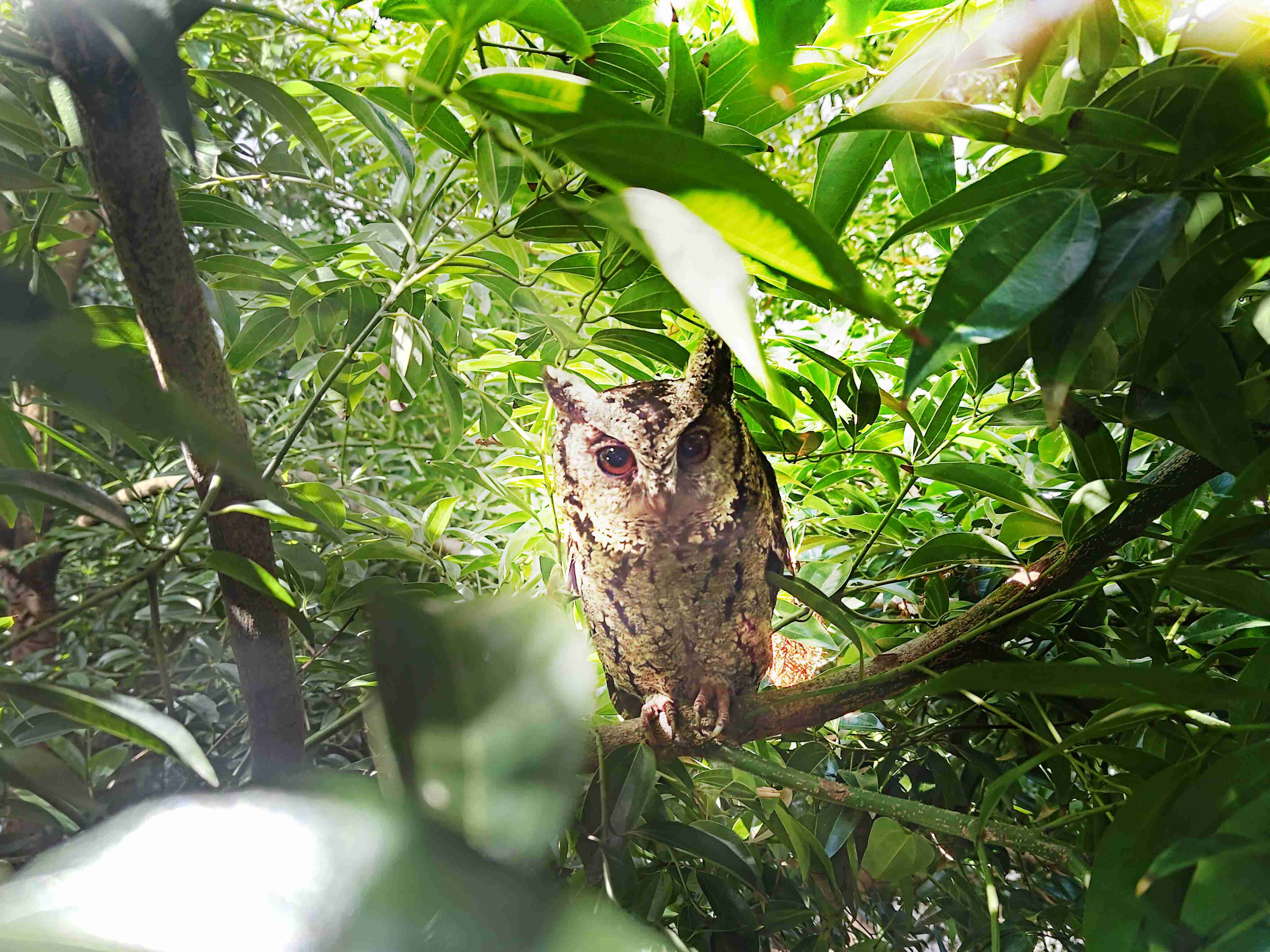 壹号平台致力提倡净零绿生活，，，，16年以来在全球各厂区植树逾百万棵，，造就各厂区树木蔚然成林，，，犹如森林工厂，，，成为许多生物的栖息地